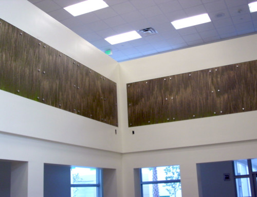 Terra Nova – High School